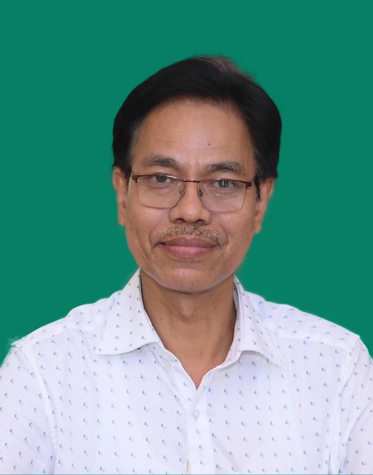 Nobin Gogoi